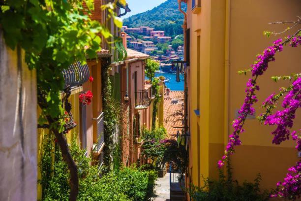 Studio Centre Plage Parking Gratuit Collioure Bagian luar foto