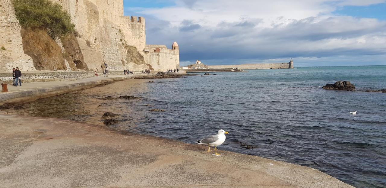 Studio Centre Plage Parking Gratuit Collioure Bagian luar foto