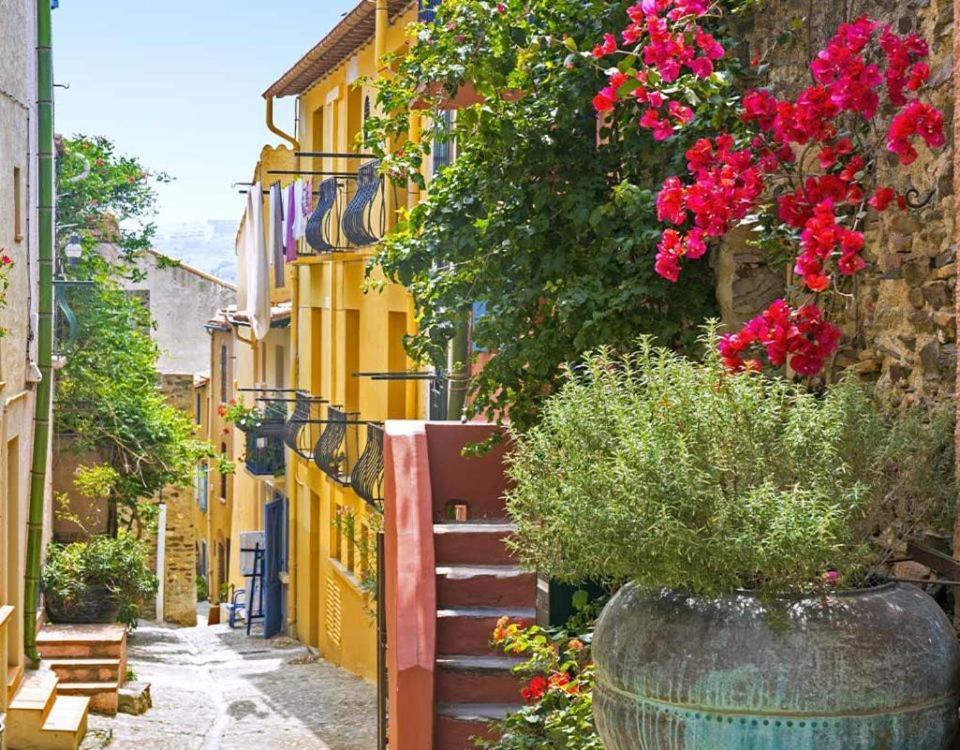 Studio Centre Plage Parking Gratuit Collioure Bagian luar foto